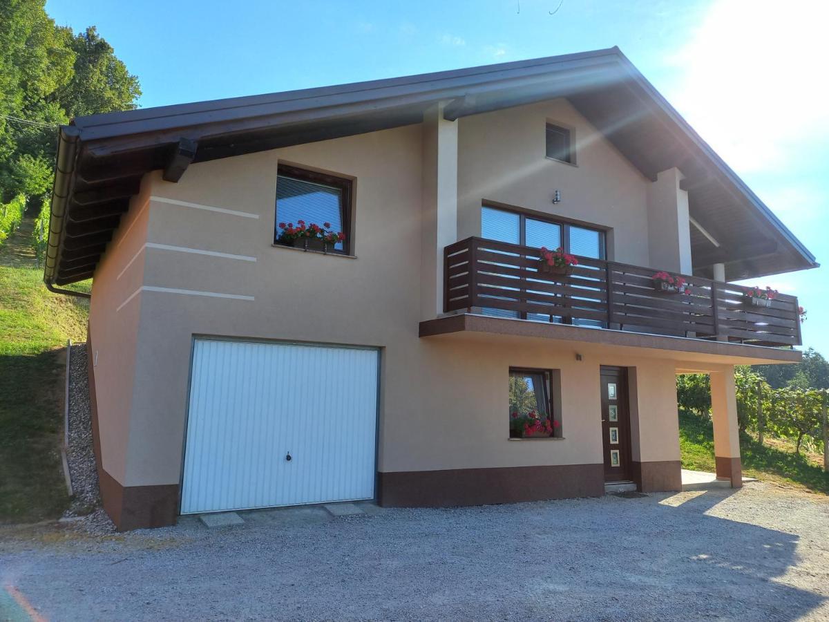 Nastanitev Nika Apartment Rogaska Slatina Bagian luar foto