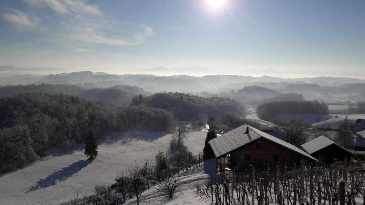 Nastanitev Nika Apartment Rogaska Slatina Bagian luar foto