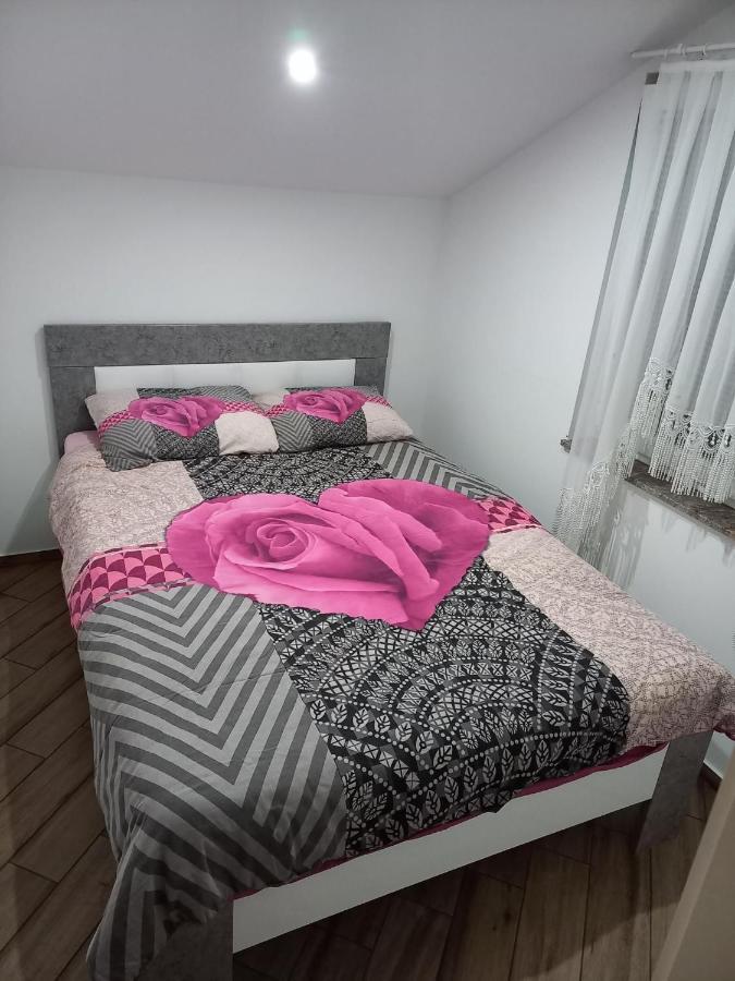Nastanitev Nika Apartment Rogaska Slatina Bagian luar foto